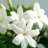 Su93117376Ahmed's profile image