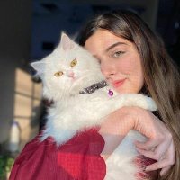 مُنى (@itssneemoo_) 's Twitter Profile