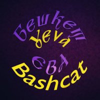 BashcatYeva(@BashcatYeva) 's Twitter Profile Photo