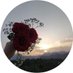 إيمان🦋 (@emanmoh82062173) Twitter profile photo إيمان🦋 (@emanmoh82062173) Twitter profile photo
