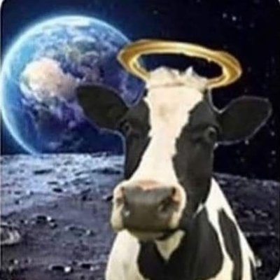 Nikin investor
-
Trying to add value
Also a fan of @fredldotme https://t.co/jW7ZlHSOkF, recommend donating