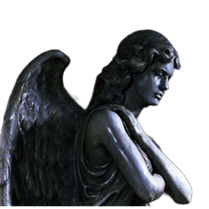 THEFACTlON's profile picture. ⠀ ⠀ ⠀ ⠀ ⠀ ⠀ ⠀ ⠀ ⠀