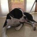 Luis Hurtado - @LuisAlHurtado - Twitter