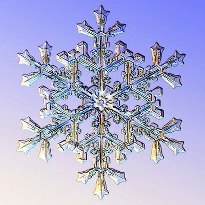 Ice Crystal ❄️さんのプロフィール画像