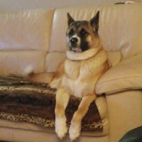 kreig miller jr (@jrkreig) 's Twitter Profile