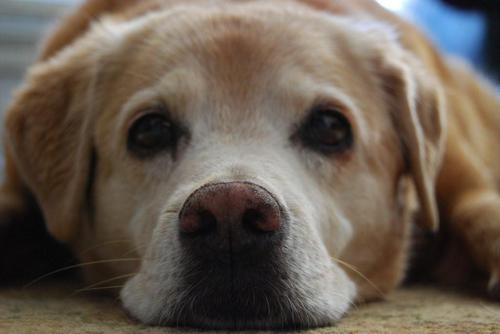 markusrandy's profile picture. Randy Markus is a partner with WTTC.com (http://www.wttc.com) - the largest independent online resource in North America for meetings and events industry.