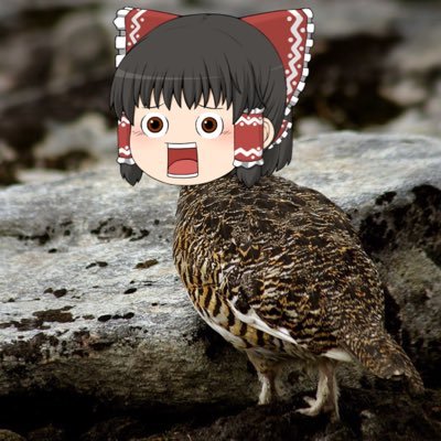 grouse_Gtav's profile picture. ようつべでGTAVのゆっくり実況やってる人。愛車はボロクソワーゲン。動物全般が好き。フォローするともれなくタイムラインにもふもふが流れるようになります。