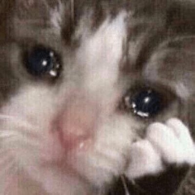 Gimmick account that occasionally posts cats that are definitely very happy and relatable.
Does not reflect admin's mental state
Cool with the Generation