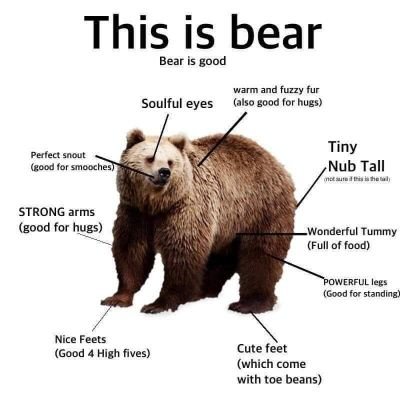 Just A Bear