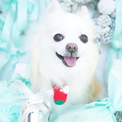 P1j5sUQE3Ut68fN's profile picture. 