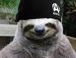 AwkwardThisIs Profile Picture