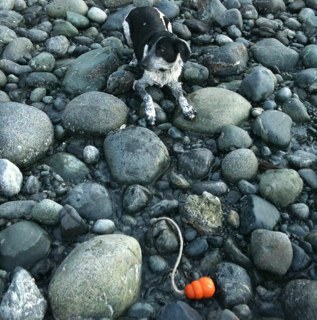 westcoastbunk's profile picture. in 4th grade I stole my uncle Max's toupee and I glued it on my face when I was Moses in my Hebrew school play