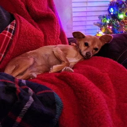 just_tinsley's profile picture. if you know me, leave now. i'm cringey