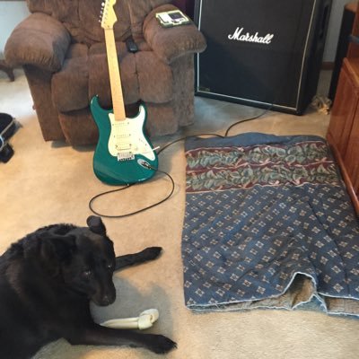 graham_sc29's profile picture. GOD, Freedom and the constitution #1A #2A