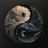 Losethename111's profile image