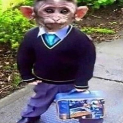 🐒 | @syncbtww @kingszn_1 @alphxGFX