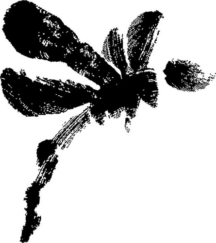 I am an Illustrator with a potent love for nature, magic and fantasy.