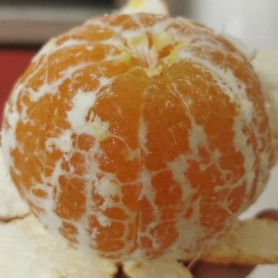 1_nose_nose's profile picture. 