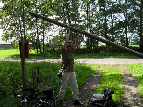 SytskeRintjema's profile picture. Natuurliefhebber, betrokken bij mens en milieu, speel in barokensemble Cascade, hou van tuinieren, lezen, dieren, fietsen ....