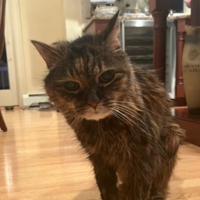 2ndamend2020's profile picture. 