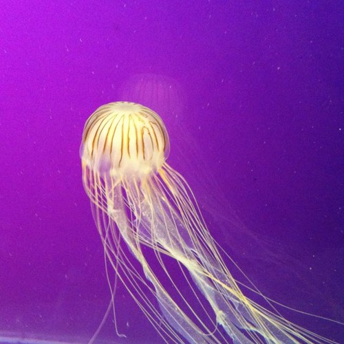 rmmertz's profile picture. 