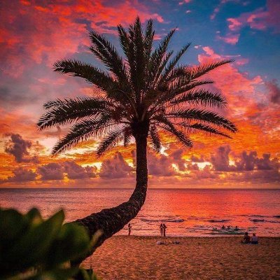 hulkmode23's profile picture. 