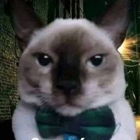 XemoLord (@xemo_lord) 's Twitter Profile