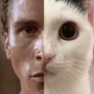 whity123456b's profile picture. 