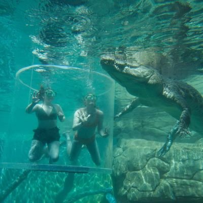 renaekimberley's profile picture. 