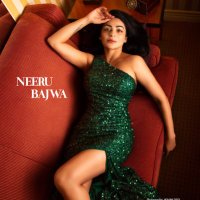 Neeru Bajwa(@neerubajwa) 's Twitter Profile Photo