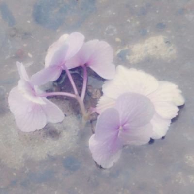 ぽんさんのプロフィール画像