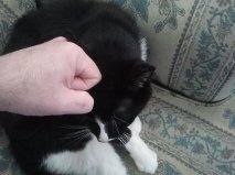 mattybwright76's profile picture. 