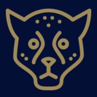 Theme Park Cheetah (@greencheetah99) 's Twitter Profile