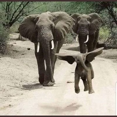 Some Giants you slay and others you tame. Living Life In The Moment. Being The Best I Can Be.