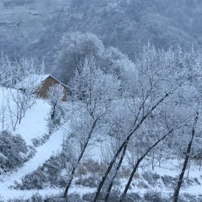 pending2036's profile picture. 你个老六

这次要麻

#btc  #voo  #gold