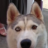 Kento.Yamada (@ymd65536) 's Twitter Profile Photo Kento.Yamada (@ymd65536) 's Twitter Profile Photo