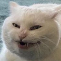 jim (@jimtalbot) 's Twitter Profile
