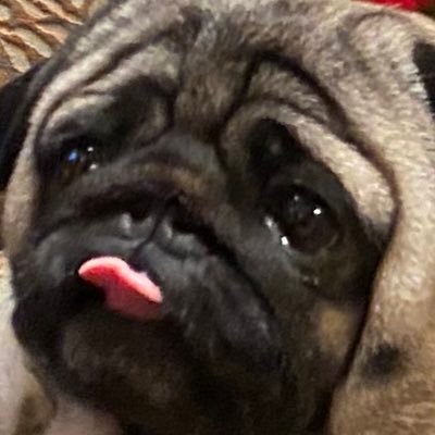 HashinSats's profile picture. 🌊🌊🌊🏄‍♂️