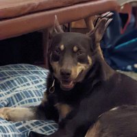 M R (@jragg) 's Twitter Profile