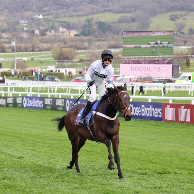 Want to make money betting on horses? 💰 maybe a side income all from your phone? 📲 Follow for FREE TIPS from a pro punter posted daily 🐎