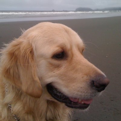 roger537269's profile picture. 