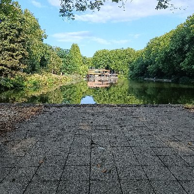 JoeTheNL's profile picture. 