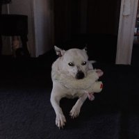 Diana (@diana01685046) 's Twitter Profile