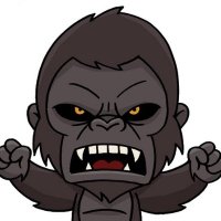 CryptoKong (@k23kong) 's Twitter Profile