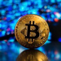 berk btc (@berkguk) 's Twitter Profile