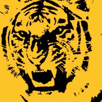 Ukulele Tiger (@ukuleletiger) Twitter profile photo
