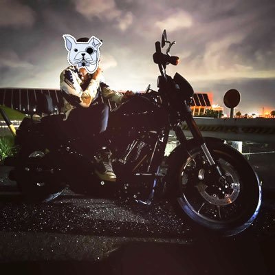 YZF-R25,Low Rider S ≡バイク・車・アウトドアのこと🕊します≡相方:ぱやお氏@paya0_819