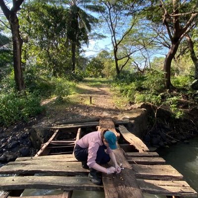amyisabiologist's profile picture. PhD Student @durham_uni @IapetusDTP Investigating the effects of living in a human-modified environment (and feeding on human refuse 🗑️🍽️) on primates 🐒🌱