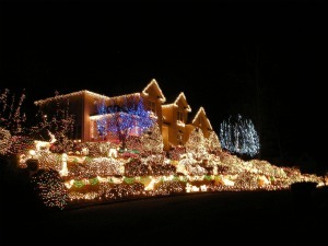 Christmas Light Installation - Residential & Commercial any where in the US. We Hang Christmas Lights. Look for our contest to win a free installation.