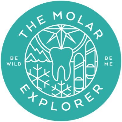 🦷 Dentist looking to work (& play) in extreme and challenging environments. ❄️ South Pole dreams 2024 🌊 Cornwall Instagram: @themolarexplorer